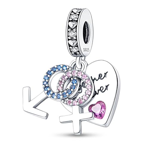 TINSLO Charm Anhänger Damen 925 Sterling Silber für Armband Charms Beads passend für Pandora Armband und Halskette, Kompatibel mit Europäischen Armbänder für Frauen Mädchen B10 von TINSLO
