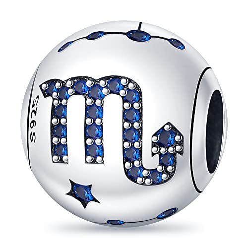 TINSLO Damen Charm Anhänger Sternzeichen für Armband 925 Sterling Silber 12 Sternbilder Charms Beads passend für Pandora Armband, Kompatibel mit Europäischen Armband und Halskette für Frauen Mädchen TINSLO Damen Charm Anhänger Sternzeichen für Armband 925 Sterling Silber 12 Sternbilder Charms Beads passend für Pandora Armband, Kompatibel mit Europäischen Armband und Halskette für Frauen Mädchen von TINSLO