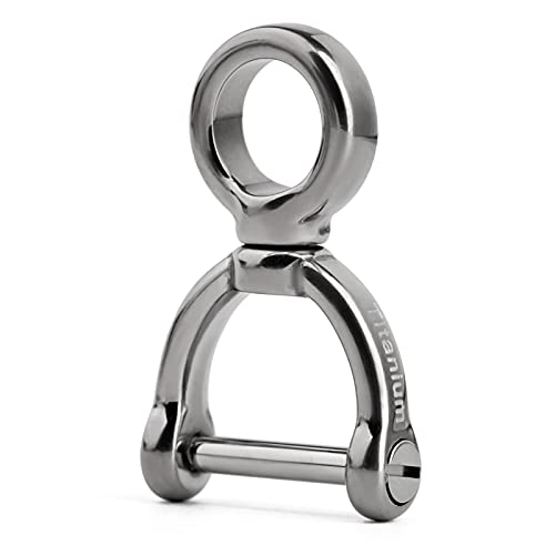 TISUR Titan Swivel D-Ringe mit Schraube Schäkel Hufeisen U Form Schlüsselanhänger DIY mit Drehgelenk Leder Handwerk Geldbörse 1 Stück, silber, Small von TISUR
