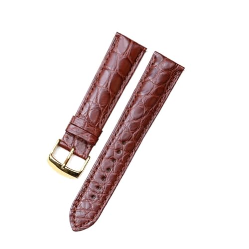 TLCBAZCF Black Dark Brown Round Grain Alligator Leather Watch Bands Men Women Watch Accessories With Pin Buckle(Brown with gold,22mm) von TLCBAZCF