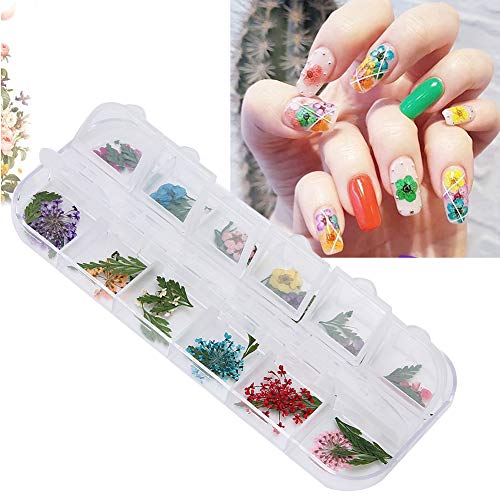 12 Farben/Box getrocknete Blume Nageldekoration, Mini echte natürliche Blumen Nail Art liefert DIY Nail Art Dekoration Zubehör Dekoration Aufkleber für DIY Nail Salon Nail Design(02#) von TMISHION