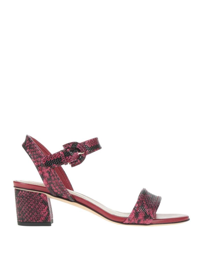 TOD'S Sandale Damen Purpur von TOD'S