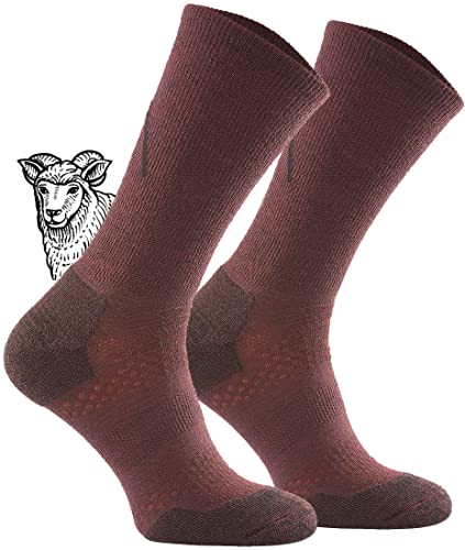 TODO BP LIGHT Dünn Merino Wandersocken für Herren, Damen,Trekking-Socken, Atmungsaktiv, 34% Merinowolle Blend Funktionssocken, Outdoor (43-46, Rotwein) von TODO