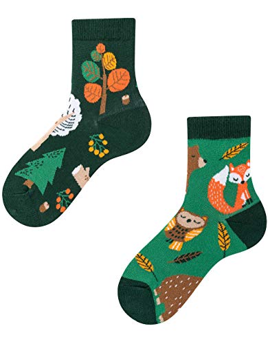 TODO Colours Lustige Socken Kinder mit motiv für Mädchen, Jungen, Kleinkind (Waldtiere Kinder, 27-30) von TODO