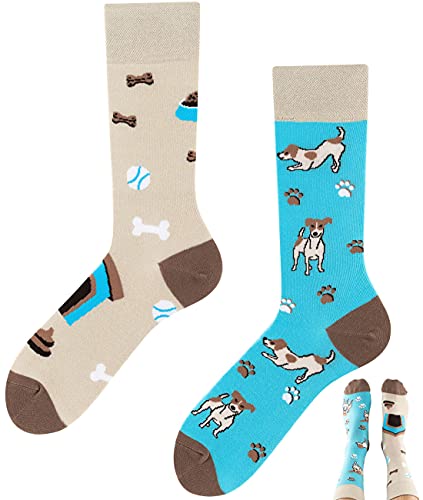 TODO Colours Lustige Socken mit Motiv - mehrfarbige, bunte, Verrückte für Herren und Damen (43-46, Jack Russell Socken) von TODO