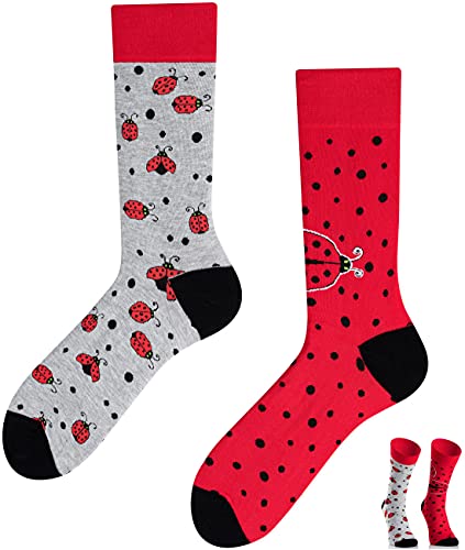 TODO Colours Lustige Socken mit Motiv - Mehrfarbige, Bunte, Verrückte für Herren und Damen (39-42, Ladybug Socken) von TODO