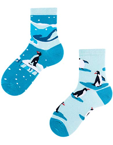 TODO Colours Lustige Socken Kinder mit motiv für Mädchen, Jungen, Kleinkind (Penguins Kinder, 23-26) von TODO