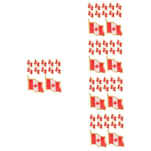 TOGEVAL 5 Sätze Flagge Anstecknadeln Metallbroschen Dekorative Anstecker Für Männer Geeignet Für Kleidung Anzüge Und Festliche Anlässe 25 Stück * 5 von TOGEVAL