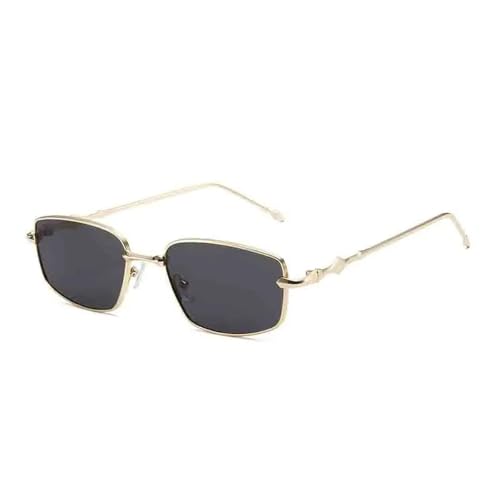 TOIPASTN Damenmode Metallbrille Retro Brille UV400 (Gold Grau) von TOIPASTN