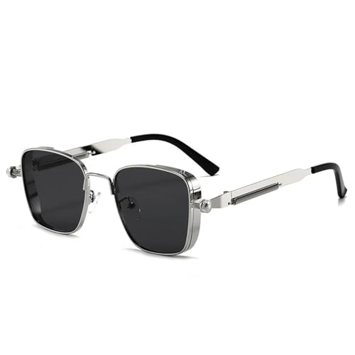 TOIPASTN Herren Vintage Steampunk Sonnenbrille Metallrahmen Damen (Silbergrau) von TOIPASTN