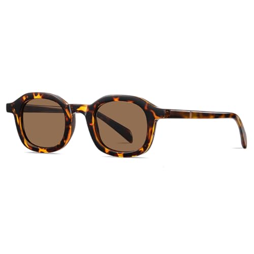 TOIPASTN Polarisierte Sonnenbrille mit Rahmen TR90 Acetat Retro Herren Damen Leopard Gläser, 5., Einheitsgröße von TOIPASTN