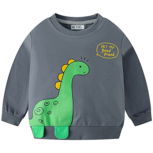 TOKYMOON Jungen Sweatshirt Kinder Dinosaurier Pullover Sweater Baumwolle T-Shirt Langarmshirt für Jungen Langarm Top Sweat Streetwear Jungen Pullover Kinder Grau+grün 98-104 von TOKYMOON