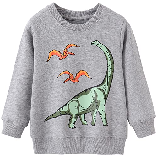 TOKYMOON Jungen Sweatshirt Kinder Warme Pullover Baumwolle Activewear Kinder Dinosaurier Pullover Digger T-Shirt Langarmshirt für Kinder Jungen Sweatshirt Pullover 1-7 Jahre Grau 4T von TOKYMOON