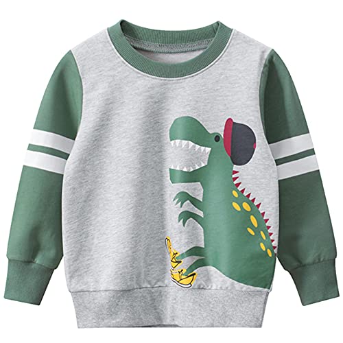 TOKYMOON Jungen Sweatshirt Kinder Warme Pullover Jumper Oberbekleidung 1-7 Jahre Dinosaurier Pullover T-Shirt Langarmshirt für Jungen Langarm Top Sweat Streetwear Grau Dinosaurier 116-122 von TOKYMOON