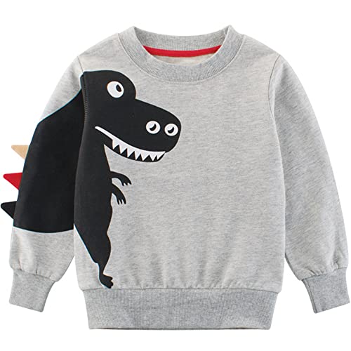 TOKYMOON Jungen Sweatshirt Pullover Baumwolle T-Shirt Kinder Langarmshirts Dinosaurier Kinder Sweatshirt Weihnachtspullover Warme Top Sweat Streetwear Oberbekleidung Dinosaurier Grau 100 von TOKYMOON