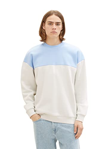 TOM TAILOR Denim Herren 1037601 Relaxed Fit Colorblock Sweatshirt mit Rückenprint, 32244-foggy Dawn, XXL von TOM TAILOR Denim
