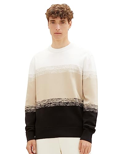 TOM TAILOR Denim Herren 1038275 Basic Strick-Pullover mit Streifen-Optik, 32770-black Ecru Gradient Stripe, XL von TOM TAILOR Denim