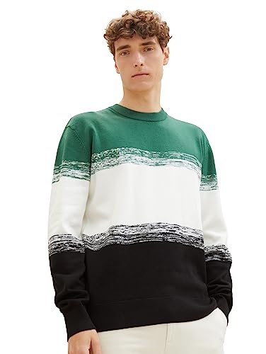 TOM TAILOR Denim Herren 1038275 Basic Strick-Pullover mit Streifen-Optik, 32773-green Black Gradient Stripe, L von TOM TAILOR Denim