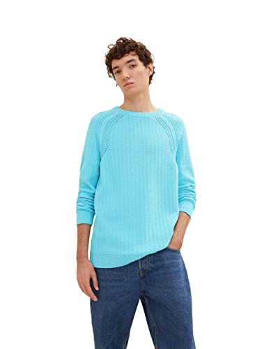 TOM TAILOR Denim Herren Basic Strickpullover 1033751, 30063 - Light Dusty Blue, M von TOM TAILOR Denim