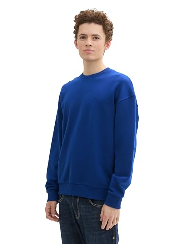 TOM TAILOR Denim Herren Relaxed Fit Sweatshirt Pullover mit Rückenprint,35788 - Space Cadet Blue, L von TOM TAILOR Denim