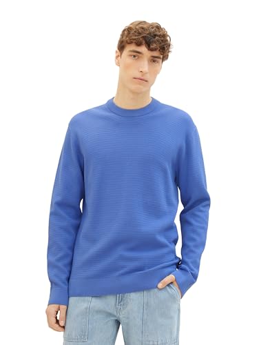 Tom Tailor Denim Herren Basic Strick-Pullover mit Struktur, 30104 - Blueberry Blue, L von TOM TAILOR Denim