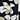 TOM TAILOR Damen Kleid mit Muster & Volant, 34790 - Cut Floral Design, 38 von TOM TAILOR
