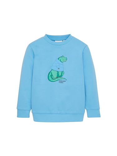 TOM TAILOR Jungen Kinder Sweatshirt mit Dinosaurier-Print , rainy sky blue, 92/98 von TOM TAILOR