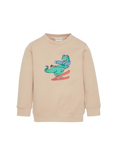 TOM TAILOR Jungen Kinder Sweatshirt mit Print , silver ecru, 116/122 von TOM TAILOR