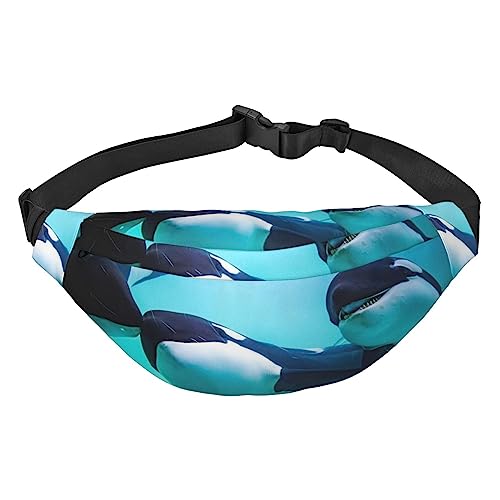 Killer Whale bedruckte Bauchtaschen für Herren und Damen, wasserdicht, modisch, Wandern, Hüfttasche für Sport, Laufen, Reisen, Schwarz , Einheitsgröße von TOMPPY