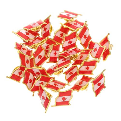 TOPPERFUN 1 Satz Teiliges Flaggen Broschen Metall Anstecknadel Für Kleidung Für Partys Und Tägliche Nutzung Einzigartiges Design Für Schals Und Kleider 25 Stück von TOPPERFUN