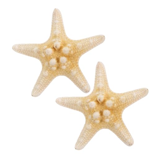 TOPPERFUN 2 Stück Handgemachte Fünfzackige Haarklammer Strand Haarspangen für und Mädchen Eleganter Haarschmuck für Partys und Besondere Anlässe Zufällige Farbe TOPPERFUN 2 Stück Handgemachte Fünfzackige Haarklammer Strand Haarspangen für und Mädchen Eleganter Haarschmuck für Partys und Besondere Anlässe Zufällige Farbe von TOPPERFUN