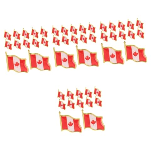 TOPPERFUN 4 Sätze Flaggen Brosche Anstecknadel Metall Abzeichen Wiederverwendbare Anstecker Für Kleidung Für Feiern Und Tägliche Nutzung 25 Stück * 4 von TOPPERFUN