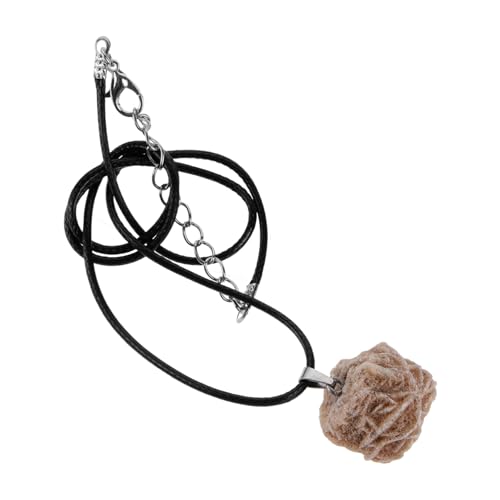 TOVINANNA Rosen Halskette Damen Floral Choker Halskette Natürlichem Blumenkette für Partys und Hochzeiten Stilvoller Halsschmuck für Mädchen TOVINANNA Rosen Halskette Damen Floral Choker Halskette Natürlichem Blumenkette für Partys und Hochzeiten Stilvoller Halsschmuck für Mädchen von TOVINANNA