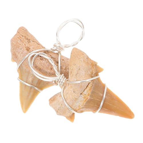 TOYANDONA 2 Stück Haifischzahn Anhänger Halskette für Herren Meeresmotiv Schmuck Metall Haifischzahn für Surfer und Outdoor Aktivitäten von TOYANDONA