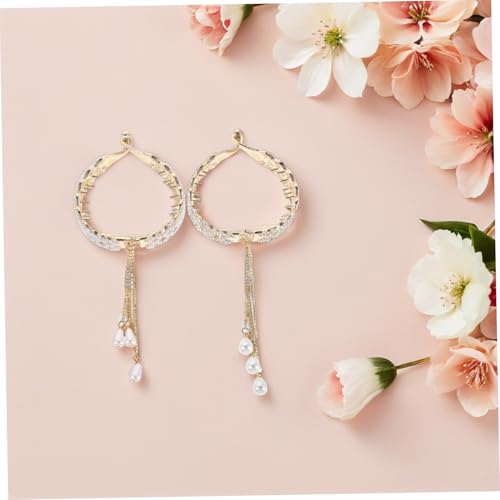 TOYZFRIENDY 2stücke Pferdeschwanz-clip Strasssteinen Dekorative Haar-accessoires Für Damen Für Partys Und Täglichen Gebrauch von TOYZFRIENDY