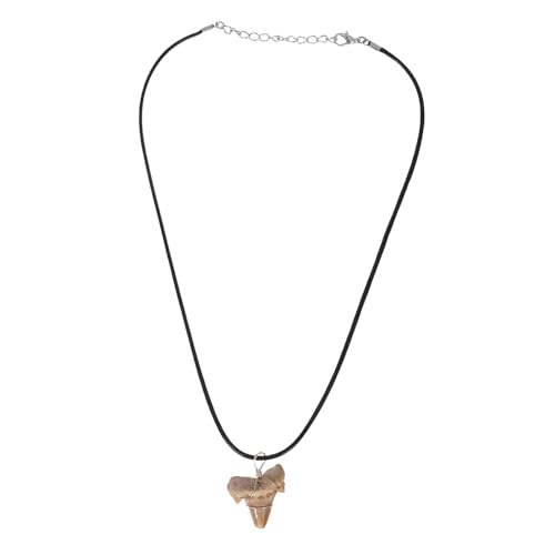 TOYZFRIENDY Haifischzahn Anhänger mit und Lederband Herren Halskette Surfer Schmuck Langlebiger Outdoor Geeignet Modisches für Männer von TOYZFRIENDY