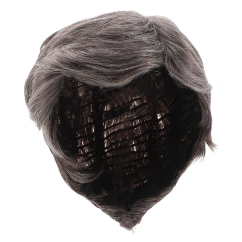 TOYZFRIENDY Herren Perücke Kurz Hitzeresistente Synthetik Haar Toupee mit Schrägstrich Silberner Farbton Pflegeleicht Vielseitig für Halloween Cosplay und Alltag Geeignet von TOYZFRIENDY