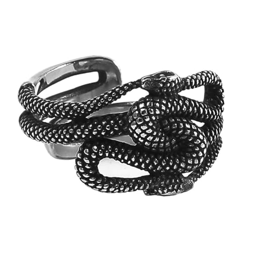 Offener Wikinger Schlangenring Für Männer Und Frauen –Nordischer Mythologie Edelstahl Ouroboros Ring -Punk Vintage Gothic Doppelkopf Schlange Wicklung Tier Ring Schmuck ( Color : Silver , Size : 08 ) von TQWSVUM