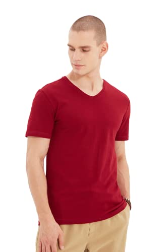 TRENDYOL Neck Knit Herren Basics Slim Fit Basic Strick-T-Shirt mit V-Ausschnitt, Burgundy, XL von TRENDYOL