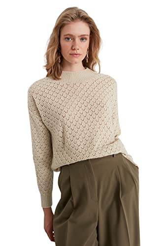 Trendyol Damen Ajouré Regular Sweater mit Rundhalsausschnitt Sweatshirt, beige, S von TRENDYOL