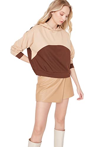 Trendyol Damen Hood Colorblock Regular Sweatshirt, braun, 42 von TRENDYOL