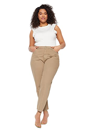 Trendyol Women's Damen Gerade Hohe Taille Plus-Size Jeans, Mink, 48/Grande von TRENDYOL
