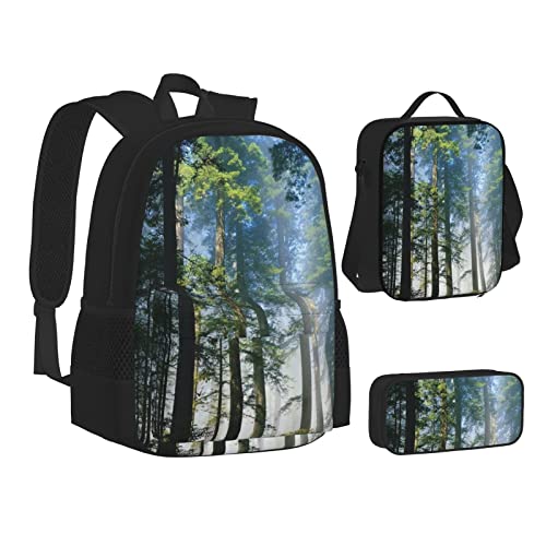 TRESILA Rucksack für Kinder, Jungen, Mädchen, strapazierfähiges Polyester, Schultasche, Büchertasche mit Lunchtasche und Federmäppchen (3-in-1-Rucksack-Set)/Nationalparks, Sonnenscheinbäume, National von TRESILA