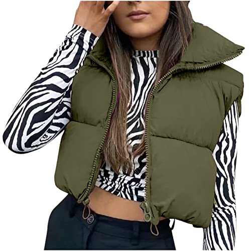 Crop Steppweste Damen Leichte Puffer Weste Jacke Winter Warm Kapuzenweste Ärmellose Steppjacke Übergangsjacke Stehkragen Pufferweste Große Größen Westen Kurz Winterweste Mantel mit Reissverschluss von TRIGLICOLEUM