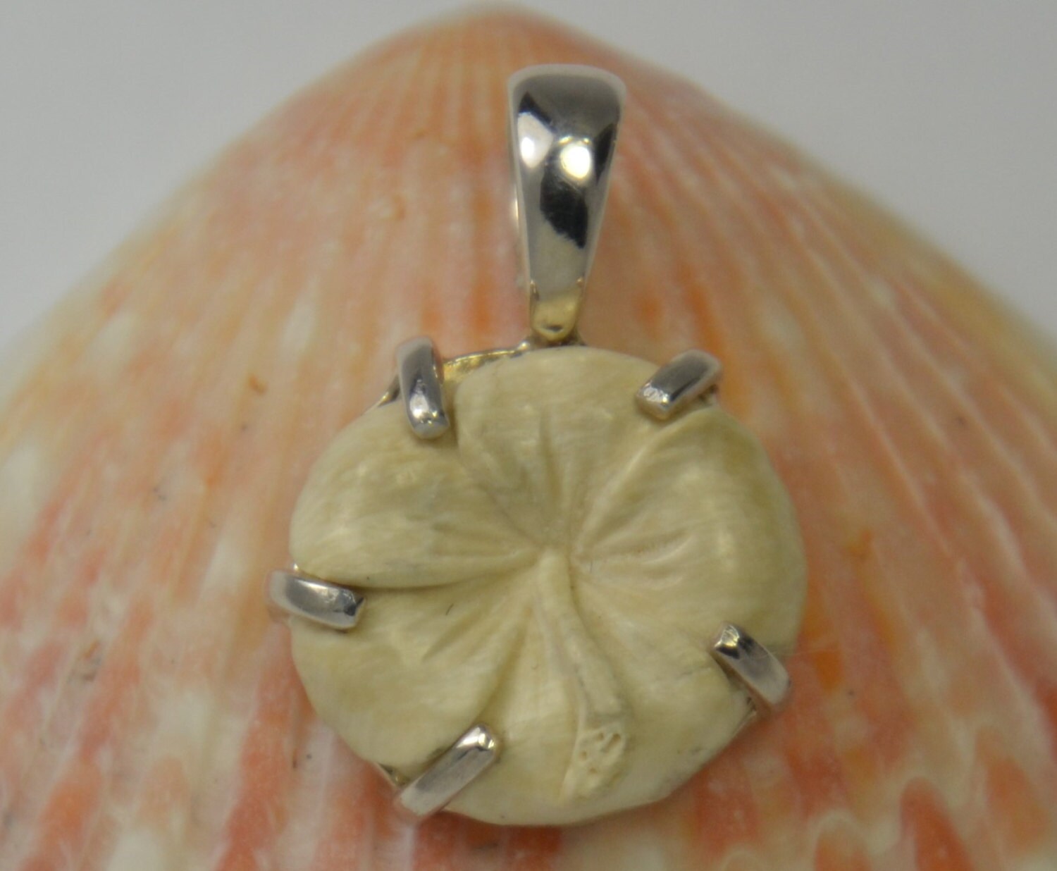 Hibiskus Blume Hibiskus Blume von TSLJewelry