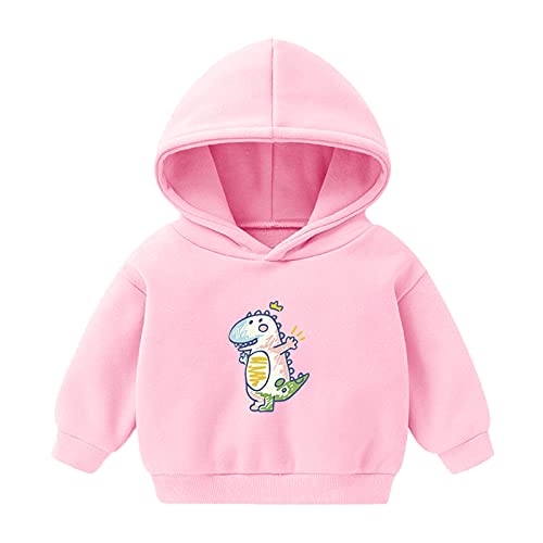 Kleinkind Baby Kinder Jungen Mädchen Kapuzenpullover mit Dinosaurier Drucken Sweatshirt Langarmshirt Kapuzenjacke Pullover Tops Kleidung Pullover Tops for 2-6 Jahre (Rosa, 2-3 Y) von TT-