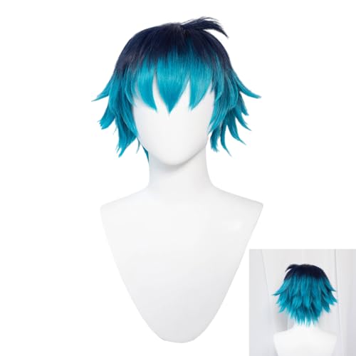 TTYAO REII Anime Cosplay Herrenperücke mit Pony, blaue Ombré-Kunstfaser, Perücke für Rollenspiele, Kostüme, Party-Requisiten von TTYAO REII