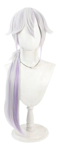 TTYAO REII Anime Kostüm Perücke für Cosplay Silber Lila Lange Pferdeschwanz Haar mit Pony Synthetische Perücke für Rollenspiele Party von TTYAO REII