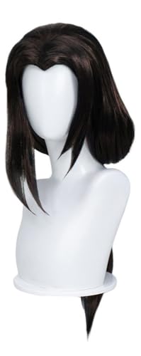 TTYAO REII Braune schwarze lange Pferdeschwanz-Perücke, Anime-Cosplay-Kostüm-Perücke, glattes Kunsthaar für Rollenspiele, Comic-Shows von TTYAO REII