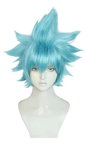 TTYAO REII Herren Anime Cosplay Perücke Blau Kurze Gerade Synthetische Perücke mit Pony Kostüm Haar für Halloween Party (Blau) von TTYAO REII
